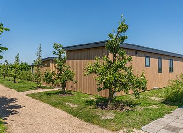 Chalet de luxe (4 personnes) sur un camping en Zélande - 27
