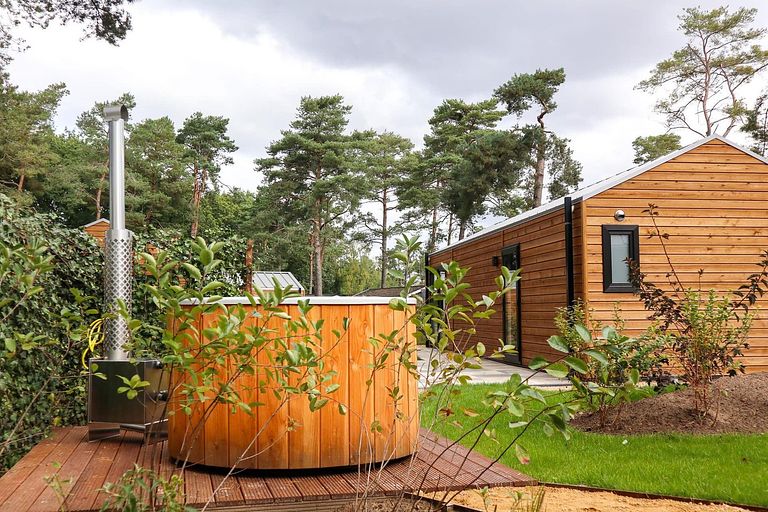 Wellness lodge op een park op de Veluwe - 1