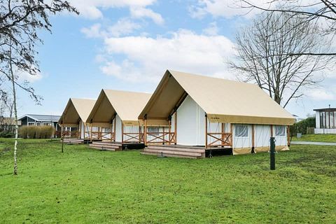 Luxury camping in glamping tent on the Veluwe - 2