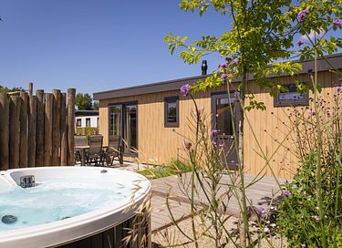 Chalet de luxe avec jacuzzi à Veluwe - 2