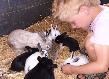 Bijzonder verblijf op biologische boerderij - 27