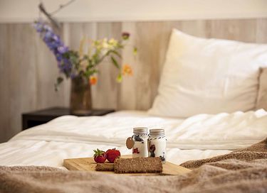 Charming stay on the Dutch coast - 9