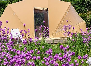Glampingtent voor 2 personen in de natuur - 2