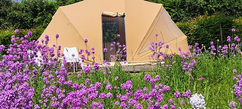 Glampingtent voor 2 personen in de natuur - 2