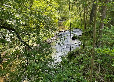 Gîte naturel près du parc naturel du Harz - 16
