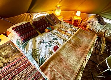 Belltent tussen de bomen vlakbij Groningen - 3