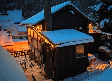 Romantic holiday home in the Harz Mountains - 31