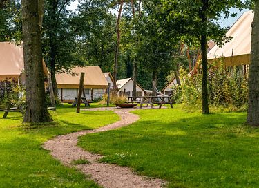 Tente glamping de luxe pour 4 à Overijssel - 4