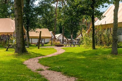 Tente glamping de luxe pour 4 à Overijssel - 4
