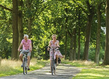 Studio (2p) op vakantiepark in mooie omgeving - 22