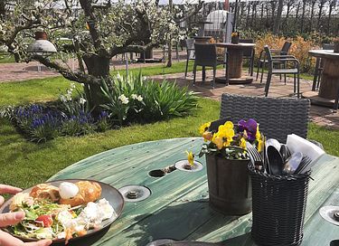Luxury holiday home (6p) with sauna in Zeeland - 18