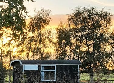 Circus wagon on a farm campsite in Friesland - 3