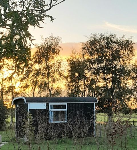 Circus wagon on a farm campsite in Friesland - 3