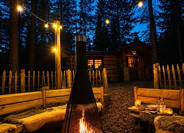 Tough luxury Scandinavian forest lodge on Veluwe - 2