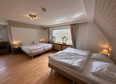 Villa privée au milieu de la forêt en Allemagne - 14