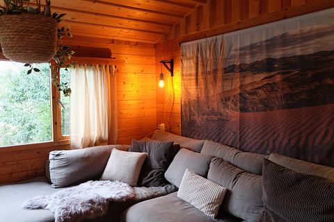Maison dans la forêt en bois avec jardin spacieux - 4