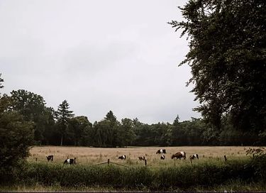 Boutique hotel op groot landgoed - 23