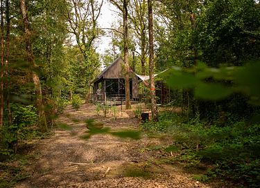 Luxury cabin with private sauna in the Ardennes - 40