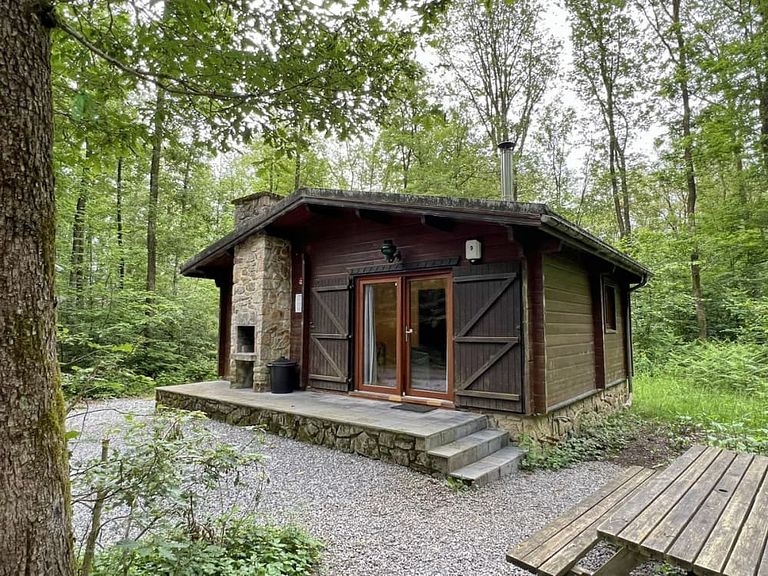 Freistehendes Chalet in bewaldetem Gebiet - 1