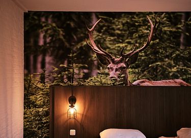  6p bungalow met sauna midden op de veluwe! - 12