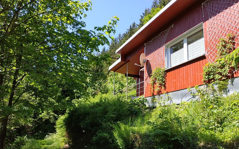 Forest cabin with private sauna - 1