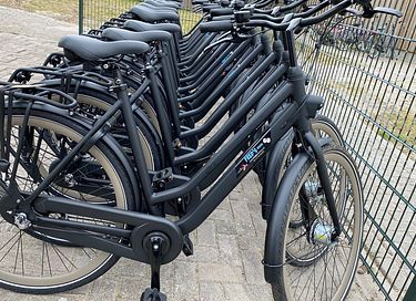 Safaritent aan de Nederlandse kust - 51