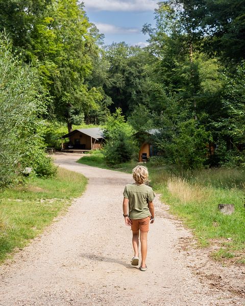 Luxury glamping tent (4 people) in the middle - 3