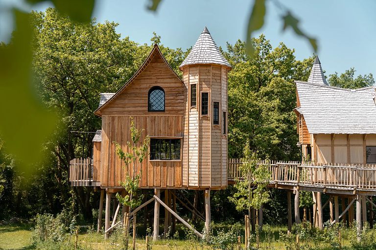 Treelodge avec sauna dans les Ardennes - 1