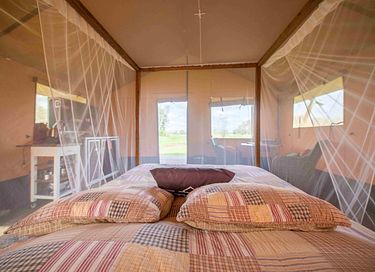 Romantic safari tent with canopy bed (2p) - 3