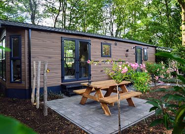 Chalet de vacances pour 4 personnes au cœur de la Veluwe