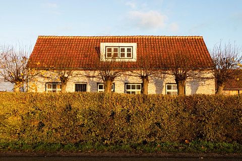 Boutique B&B in Zeeland - 3