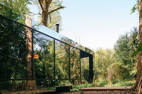 Mirror forest lodge by a stream - 2