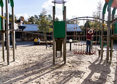 Logement de vacances dans les bois sur la Veluwe - 13