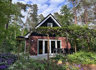 Ruim vakantiehuis in Veluwse bossen - 27