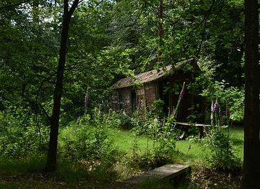 Séjour unique en forêt avec intimité