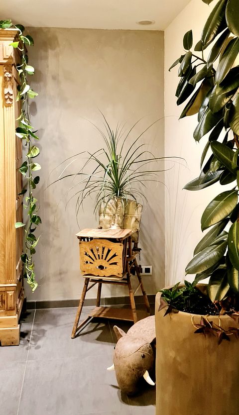 Luxury stay in the Westhoek - 5