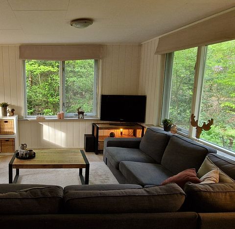 Maison dans la forêt avec sauna à Vechtdal - 4