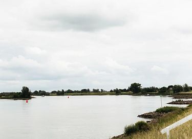 Tiny House in boomgaard tussen de schapen - 24