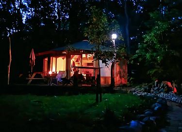 Cabane en bois dans la forêt - 21
