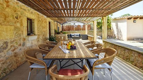 Groen vakantiehuis met veel privacy  - 4