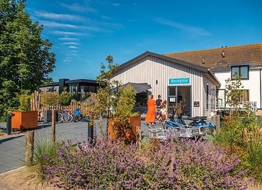 Spacious villa with sauna and hot tub on Texel - 16