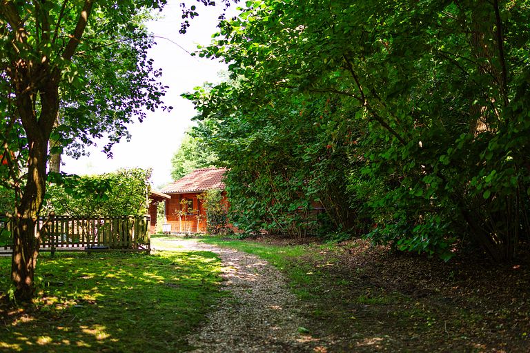 Vakantiehuis in Gelderland (honden welkom) - 1