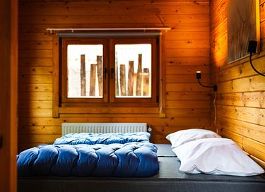 Chalet pour animaux (Veluwe) - 19