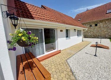 Appartements accueillants pour les animaux - 4
