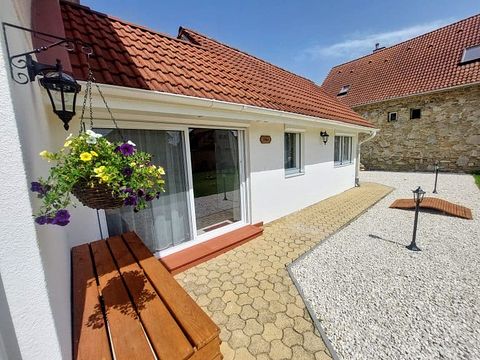 Appartements accueillants pour les animaux - 4