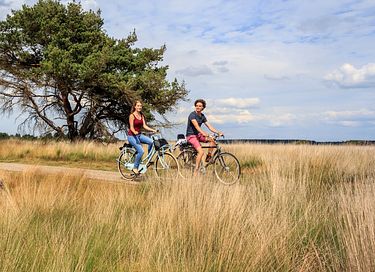 Ruime villa (10p) met sauna op de Veluwe - 47