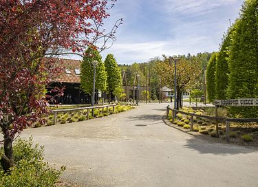 Romantische wellness boshuisje  - 17