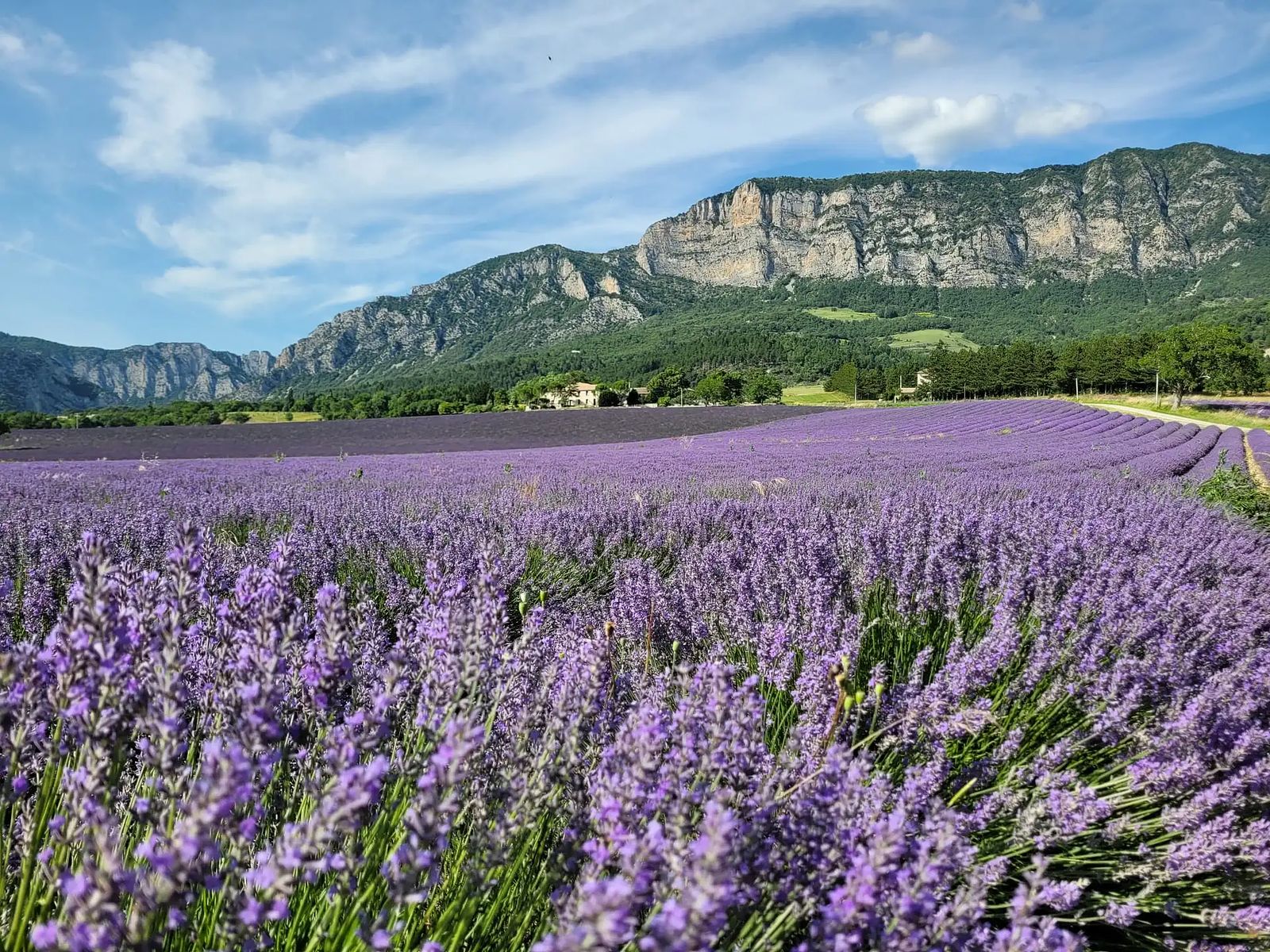 Discover France in 12 days with these exceptional holiday homes