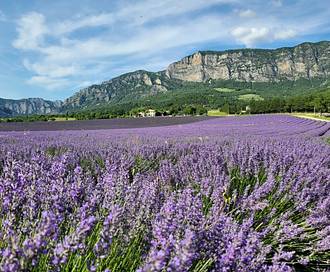 Scopri la Francia in 12 giorni con queste case vacanze speciali