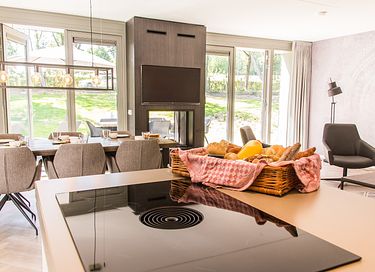 Wellness vacation villa in Limburg - 13